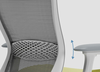 Adjustable Lumbar Support